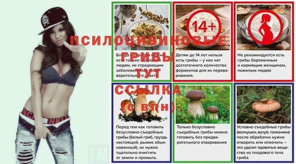 mdpv Баксан